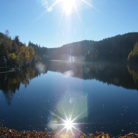Apartment Am Fluss Im Haus An Der Rur Моншау Екстериор снимка