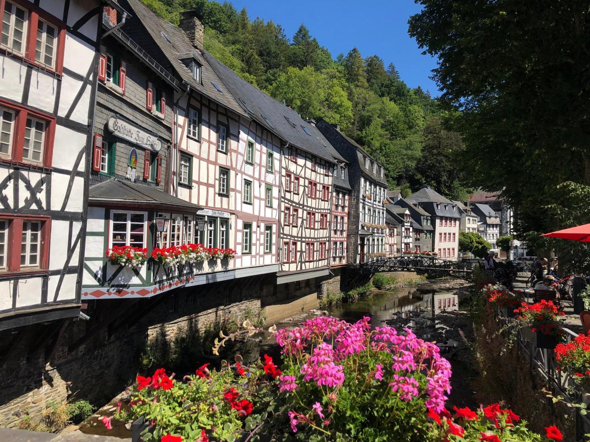 Apartment Am Fluss Im Haus An Der Rur Моншау Екстериор снимка