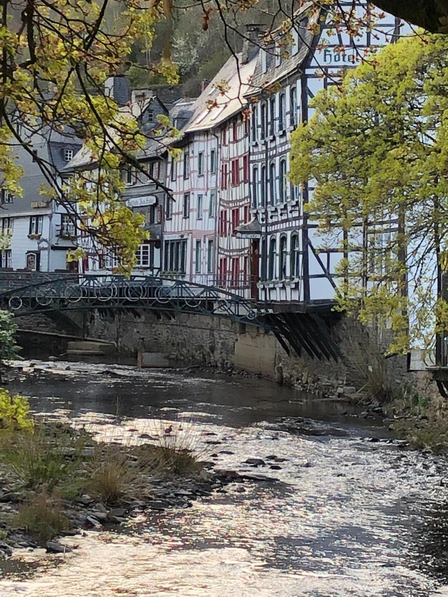 Apartment Am Fluss Im Haus An Der Rur Моншау Екстериор снимка